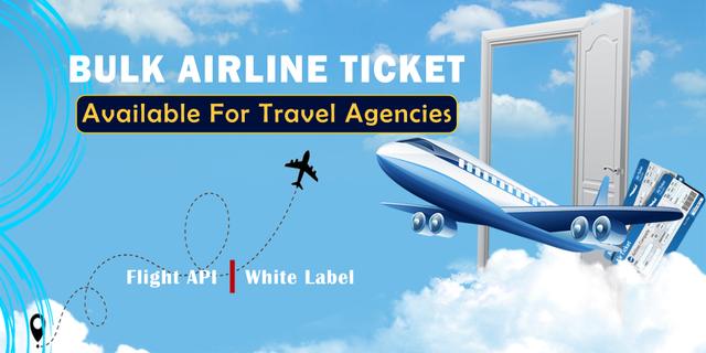 Bulk Airline Ticket Available for Travel Agencies